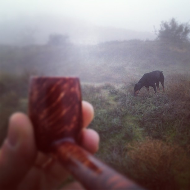 e27013a051aa11e2871d22000a1f92db_7